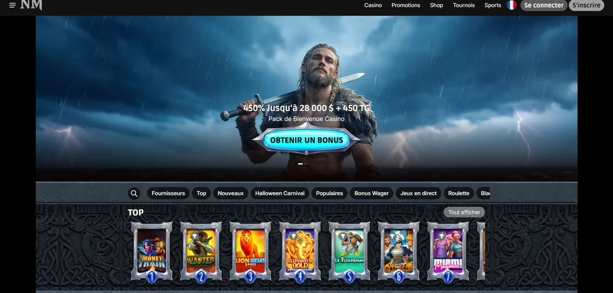 Aperçu de la page d'accueil de NorseMania
